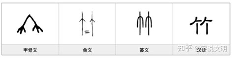 竹字部